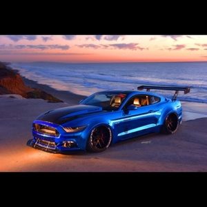 Meet your Posher, Marlon